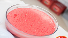 Creme Belga - Áurea