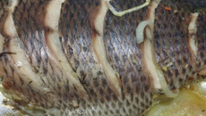 Tilápia ou traíra recheada