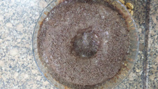 Bolo de café gelado