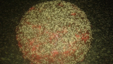 Torta de limão e baunilha com recheio e cobertura de morango