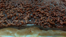 Bombom de leite em pó na travessa