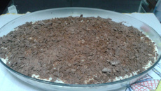 Pavê de bolo pullman de chocolate
