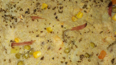 Torta de frango sem glúten e sem lactose