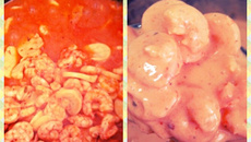 Estrogonofe de Camarão