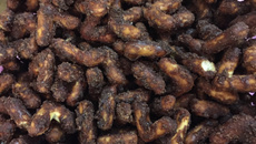 Cobertura de chocolate para grissini ou biscoito mignon