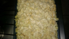 Macarrão com frango e molho branco