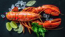 Lagosta, Lagostim