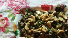 File de peixe ao molho de champignons