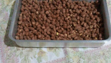 Amendoim Doce Crocante