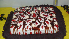 Bolo de baba de moça e doce de leite.