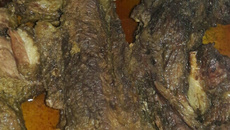 Costela assada no forno