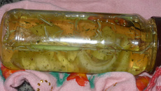 Delícia de óleo temperado