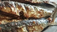 Sardinha grelhada do Betão 