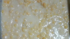 Munguzá do Nordeste