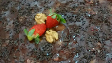 Pavê de chocolate com morango