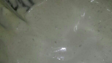 Maionese caseira de salsinha