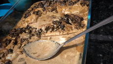 Filé de tilápia ao molho funghi