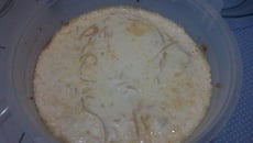 Macarronada à bolonhesa com molho branco