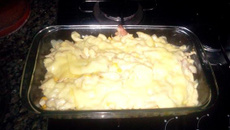 Frango desfiado supremo