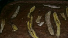 Bolo de banana da Nana