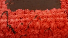 Bolo de chocolate recheado com chocolate