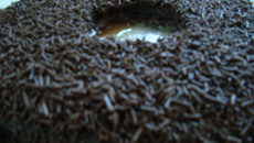 Brigadeirão (microondas)