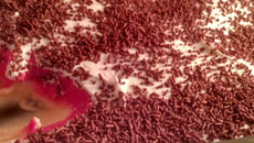 Mousse de leite em pó, morango e chantilly