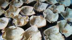 Barquetes de massa de pastel