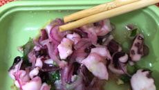 Ceviche tá bem gostoso