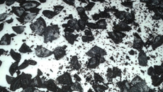 Pavê de bolachas negresco