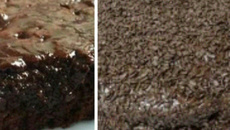 Torta de brigadeiro gelado