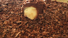 Bombom de nozes desconstruído