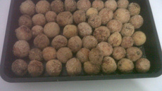 Bolinha de frango crocante