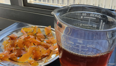 Maple syrup genérico