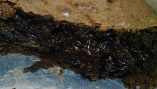 Brownie cremoso