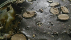 Serenata na travessa