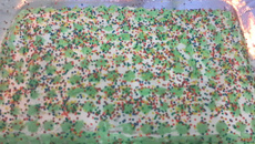 Glacê de Confeiteiro II  - Textura ideal para aplicação com saco de confeitar