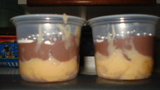 Cocada de maracujá e chocolate