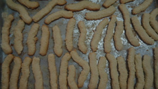 Bolachinha Bicho do pau podre