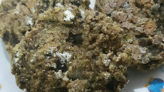 Hambúrguer de berinjela