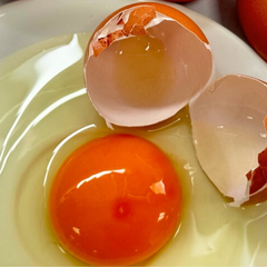 ovo-3- Não é salmonela: o que significa essa cor estranha no ovo, segundo alerta de um biólogo