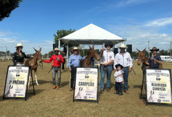 2ª Festa Tropeira de Itapetininga, São Paulo, celebra cultura e tradição