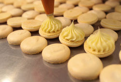 MasterChef Confeitaria 2025: confira as sobremesas deliciosas e quem saiu do programa na estreia