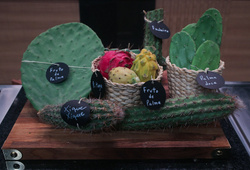 Cacto no Masterchef 2022 surpreende participantes e rende pratos exóticos