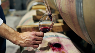 “Invista em cerejas, pistaches, crie gado”: ​​em uma província, produtores estão abandonando o vinho e mudando de ramo de atividade