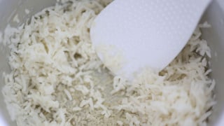 Basta misturar arroz que sobrou com esse ingrediente: uma fórmula para exterminar ratos e baratas muito barata que aprendi no TudoGostoso!