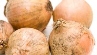 O que é o pó preto que aparece na cebola? Saiba o que fazer quando encontrar isso no alimento