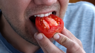 Ela criou um tomate com sabor de hambúrguer com a ajuda de inteligência artificial: a jovem de 17 anos já obteve a patente nos Estados Unidos