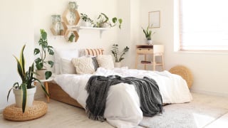 Seu quarto pode ficar mais agradável com estas 5 plantas: TudoGostoso explica como elas podem contribuir para o bem-estar