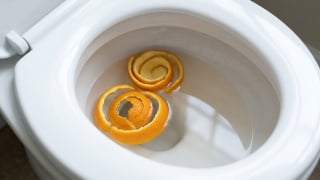 Com quantos anos você descobriu que deve jogar cascas de laranja no vaso sanitário uma vez por semana?